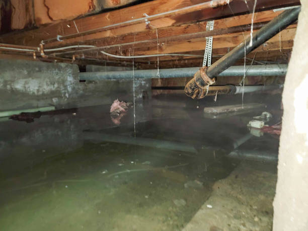 Best Ceiling water damage repair  in Union, MS