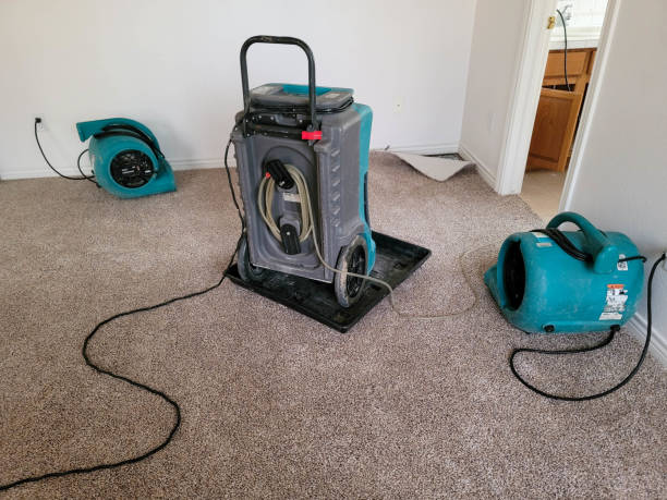 Best Water damage contractors near me  in Union, MS