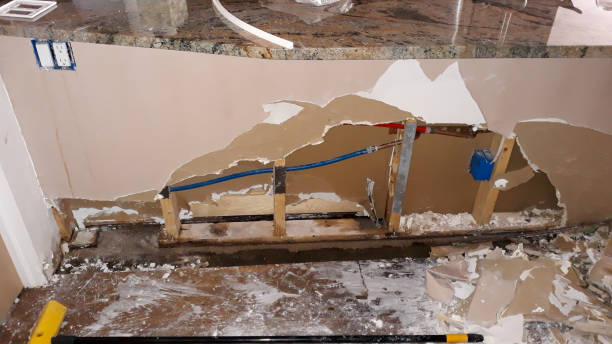 Best Water damage restoration services  in Union, MS