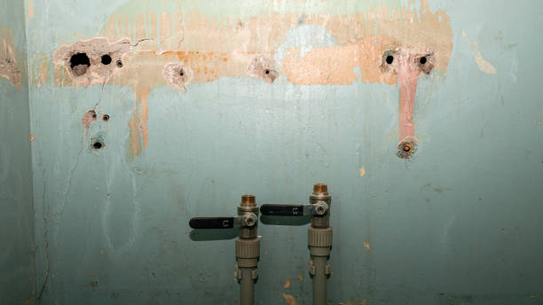 Best Flooded house restoration  in Union, MS