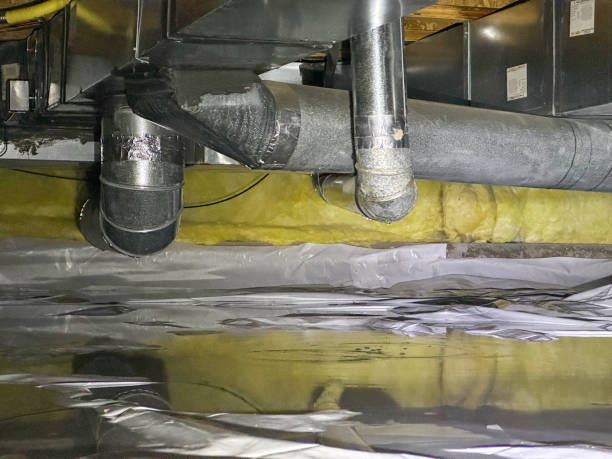 Best Local water damage restoration  in Union, MS