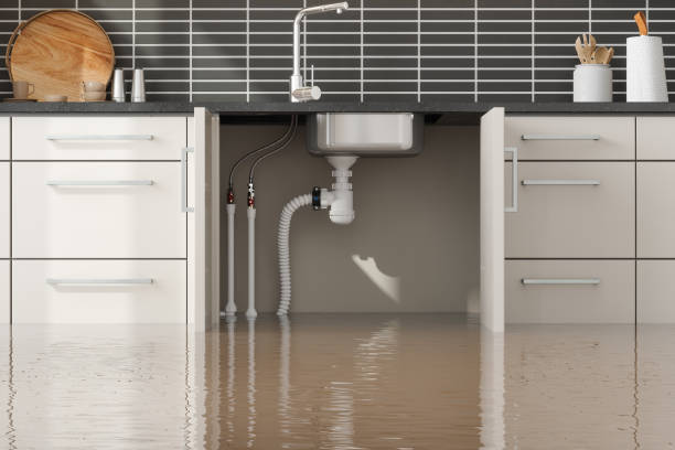 Reliable Union, MS Water damage restoration Solutions