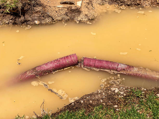 Best Water damage contractors near me  in Union, MS